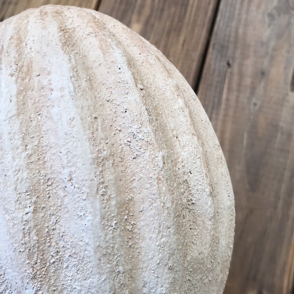 Pottery Barn Country Chic Rustic Weathered Small Size Handcrafted Easter Egg 🐰 - Picture 12 of 16